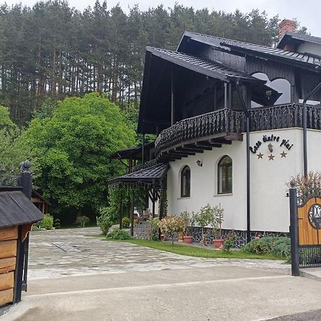 Casa Dintre Pini Villa Paltinoasa Ngoại thất bức ảnh
