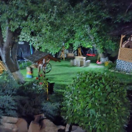 Casa Dintre Pini Villa Paltinoasa Ngoại thất bức ảnh