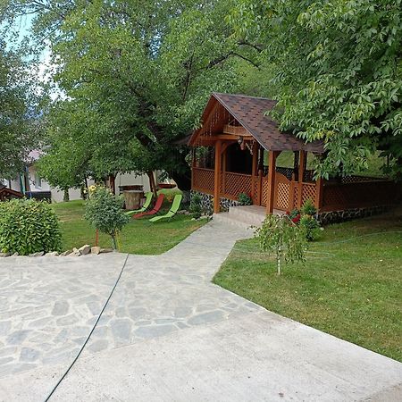 Casa Dintre Pini Villa Paltinoasa Ngoại thất bức ảnh