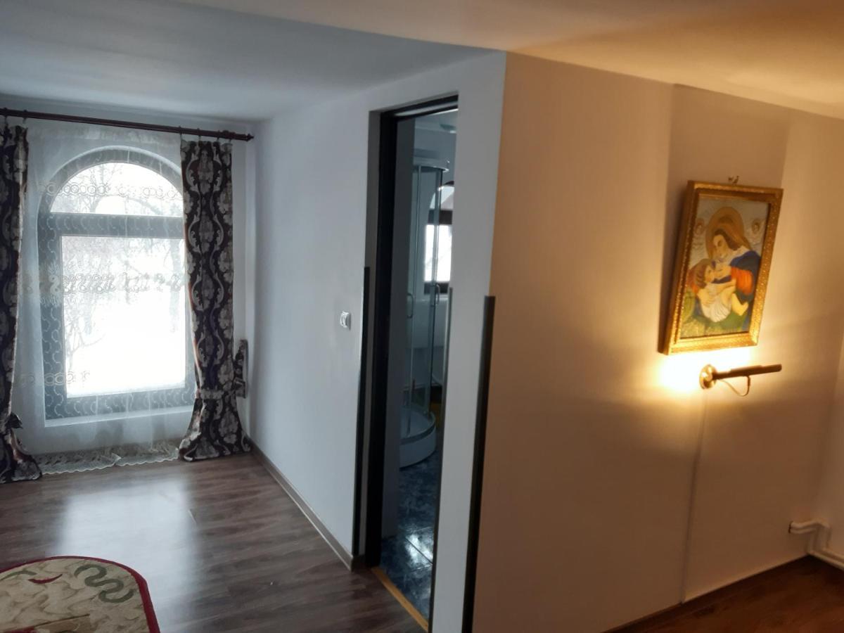 Casa Dintre Pini Villa Paltinoasa Ngoại thất bức ảnh