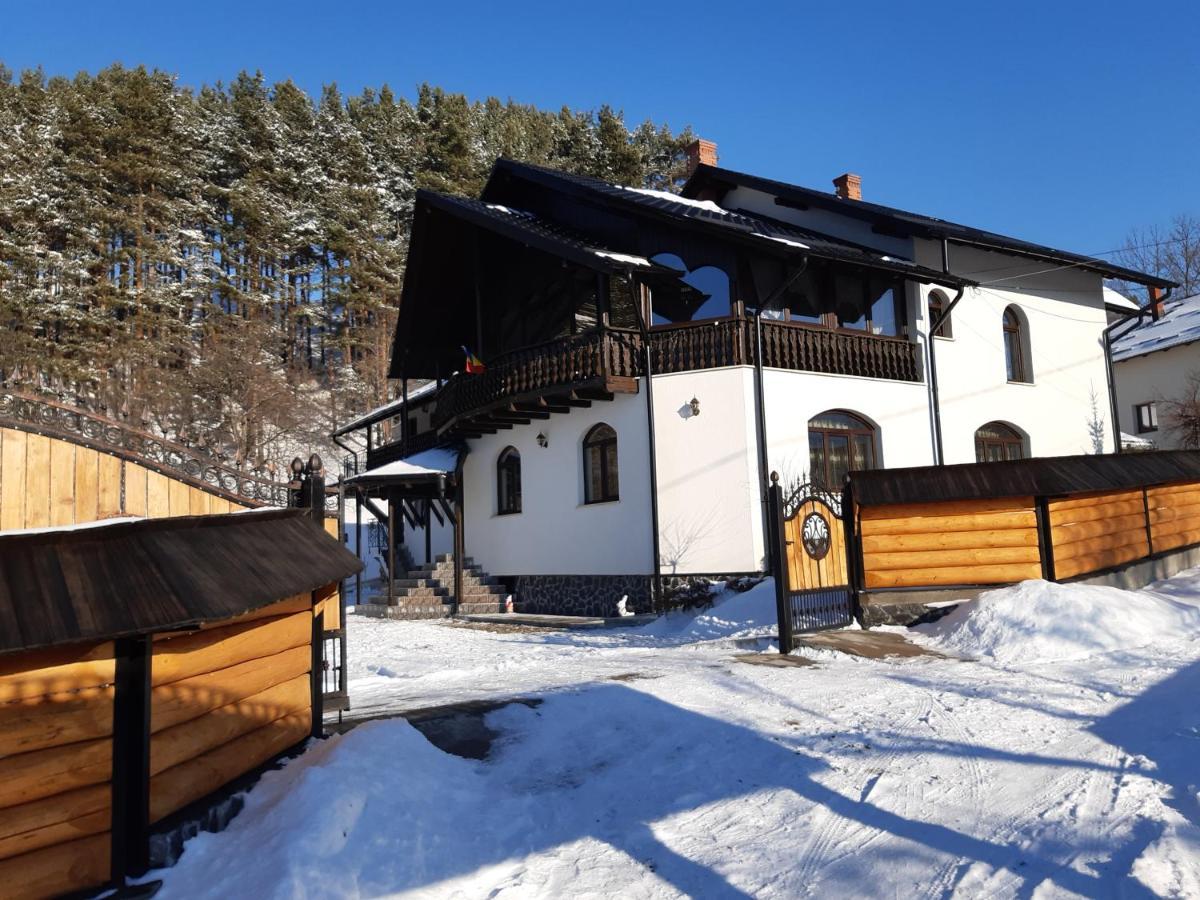 Casa Dintre Pini Villa Paltinoasa Ngoại thất bức ảnh