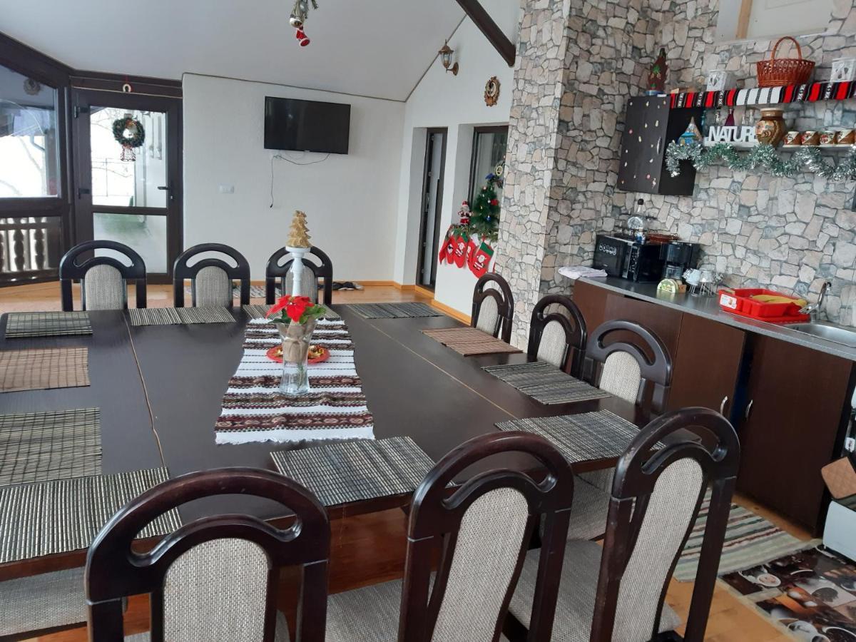 Casa Dintre Pini Villa Paltinoasa Ngoại thất bức ảnh