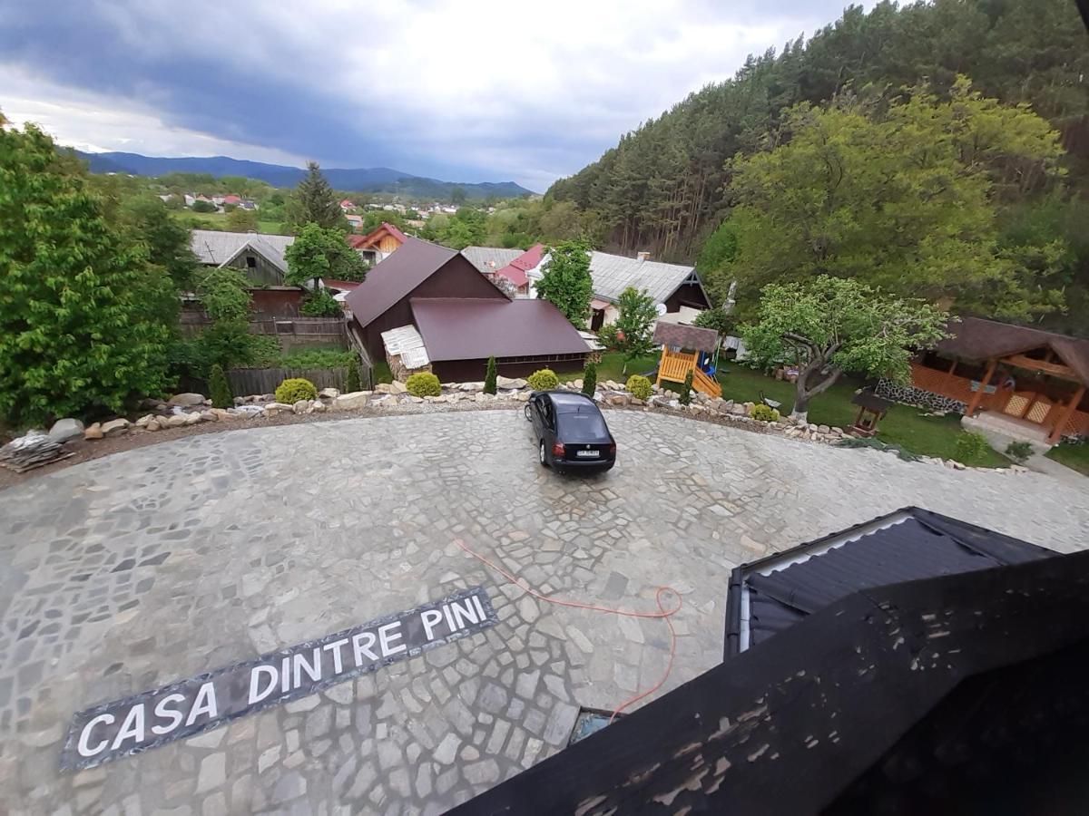 Casa Dintre Pini Villa Paltinoasa Ngoại thất bức ảnh