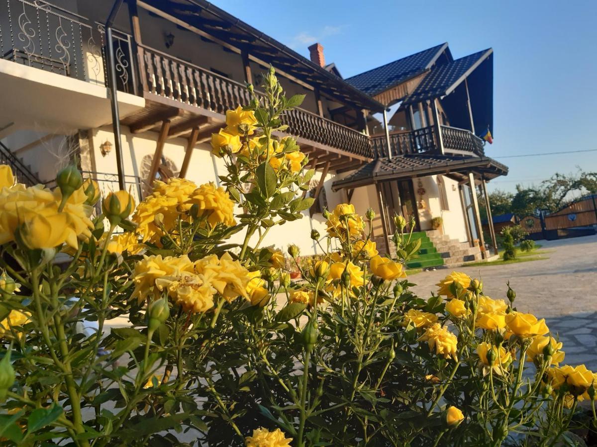 Casa Dintre Pini Villa Paltinoasa Ngoại thất bức ảnh