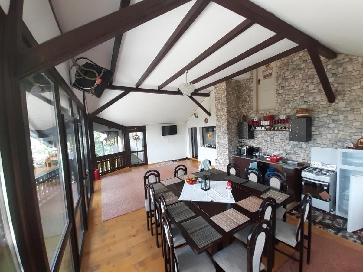 Casa Dintre Pini Villa Paltinoasa Ngoại thất bức ảnh