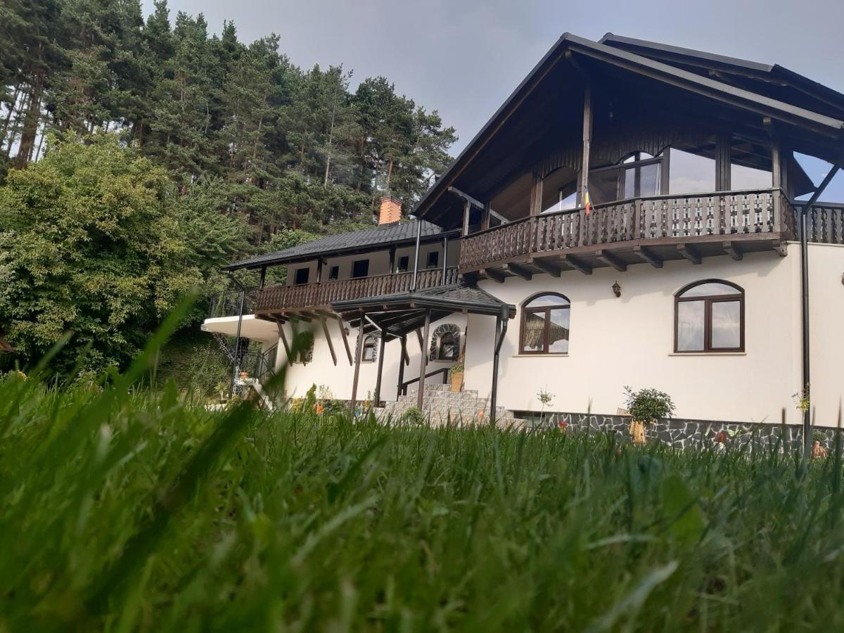 Casa Dintre Pini Villa Paltinoasa Ngoại thất bức ảnh