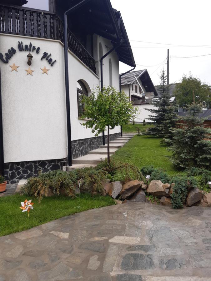 Casa Dintre Pini Villa Paltinoasa Ngoại thất bức ảnh