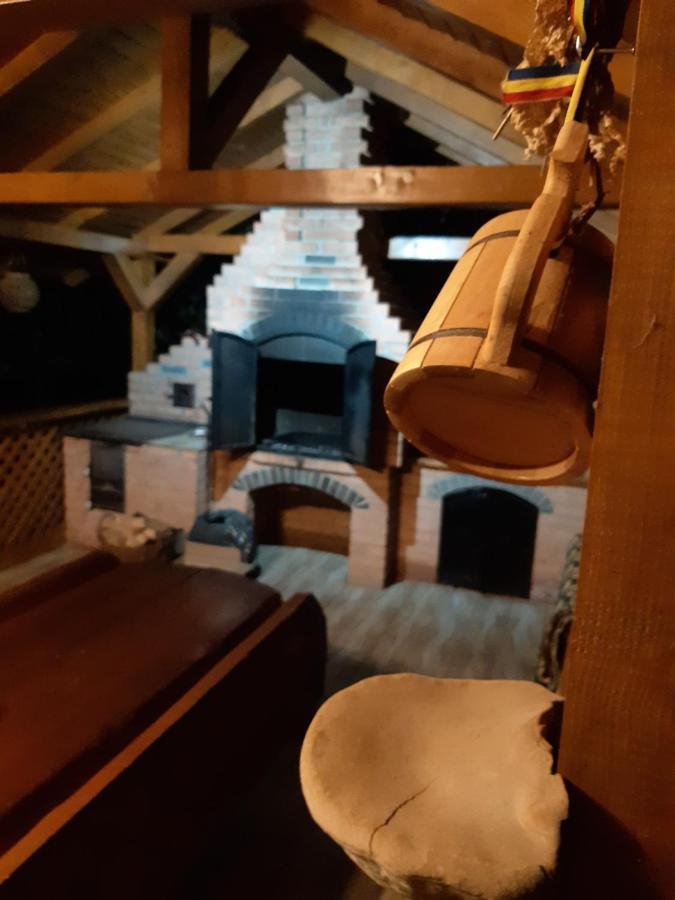 Casa Dintre Pini Villa Paltinoasa Ngoại thất bức ảnh