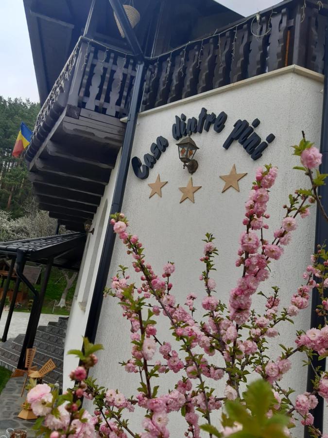 Casa Dintre Pini Villa Paltinoasa Ngoại thất bức ảnh