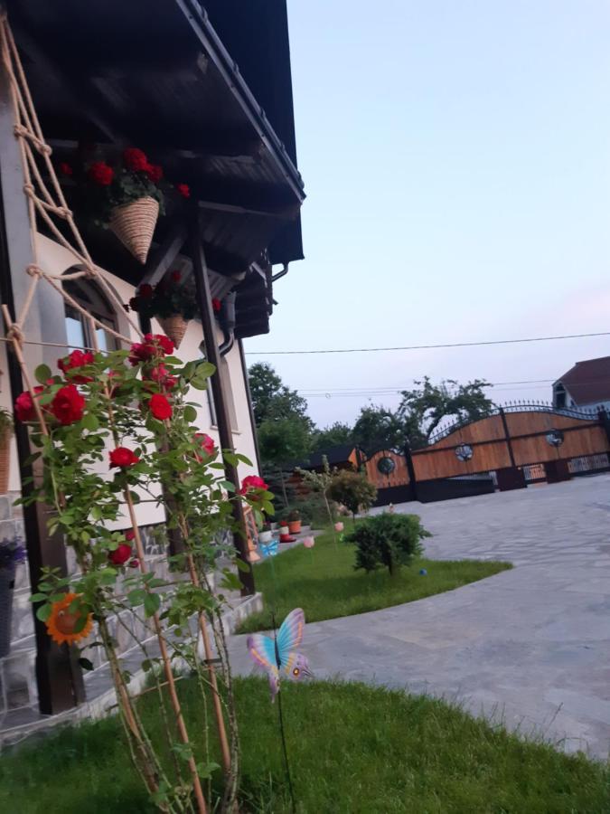 Casa Dintre Pini Villa Paltinoasa Ngoại thất bức ảnh