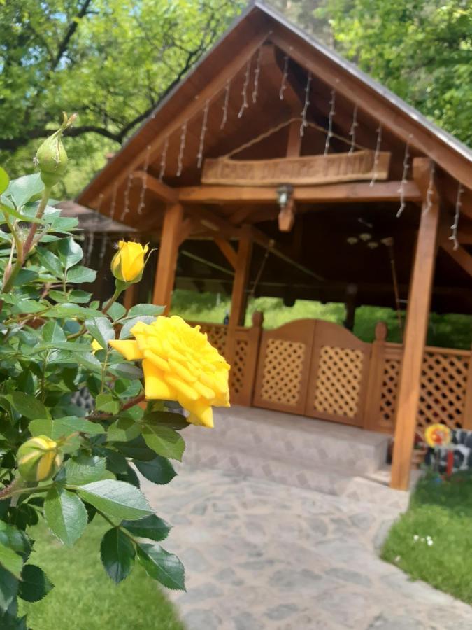 Casa Dintre Pini Villa Paltinoasa Ngoại thất bức ảnh