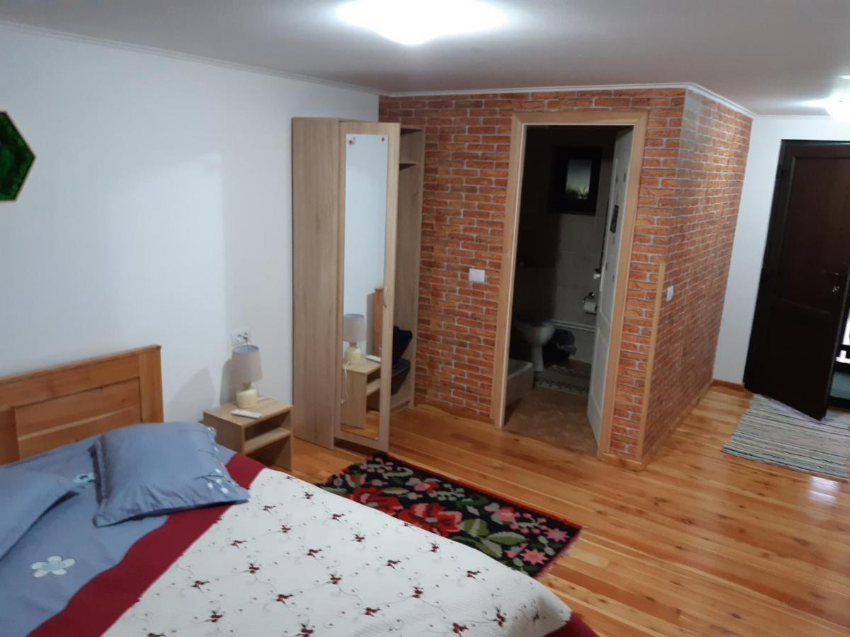 Casa Dintre Pini Villa Paltinoasa Ngoại thất bức ảnh