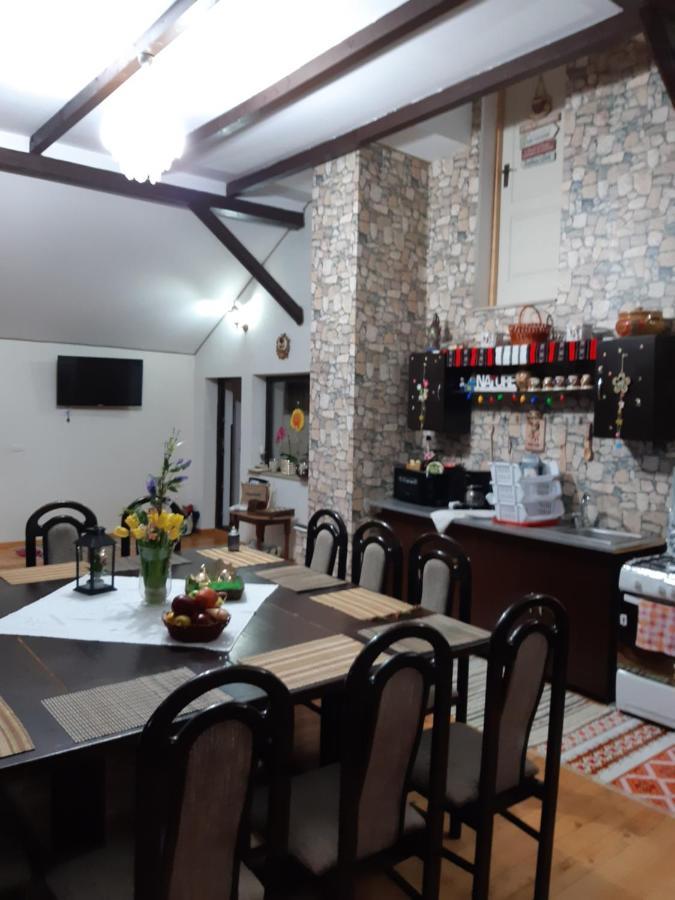 Casa Dintre Pini Villa Paltinoasa Ngoại thất bức ảnh