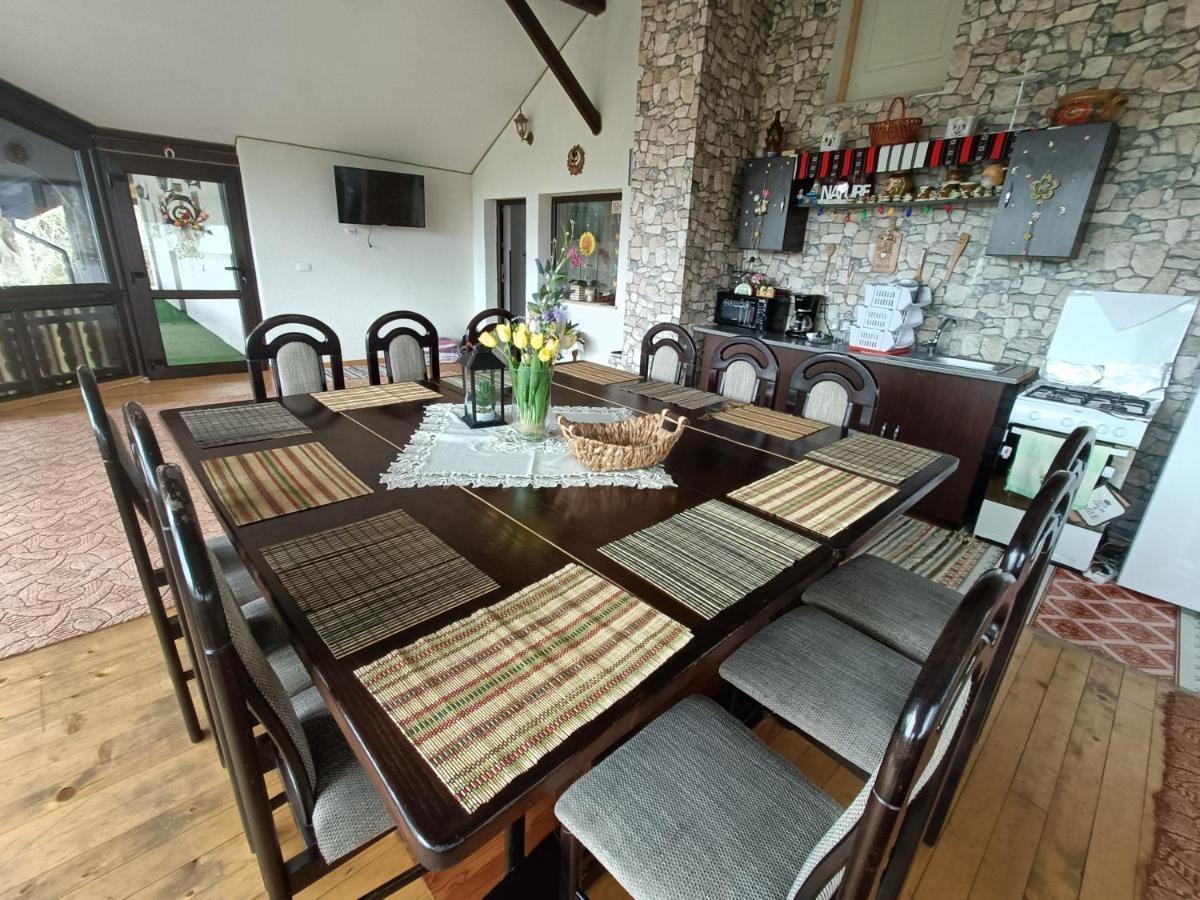 Casa Dintre Pini Villa Paltinoasa Ngoại thất bức ảnh