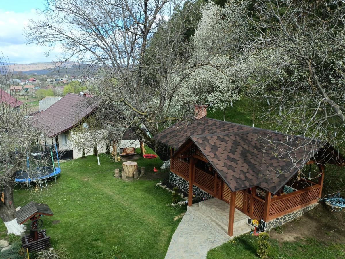 Casa Dintre Pini Villa Paltinoasa Ngoại thất bức ảnh