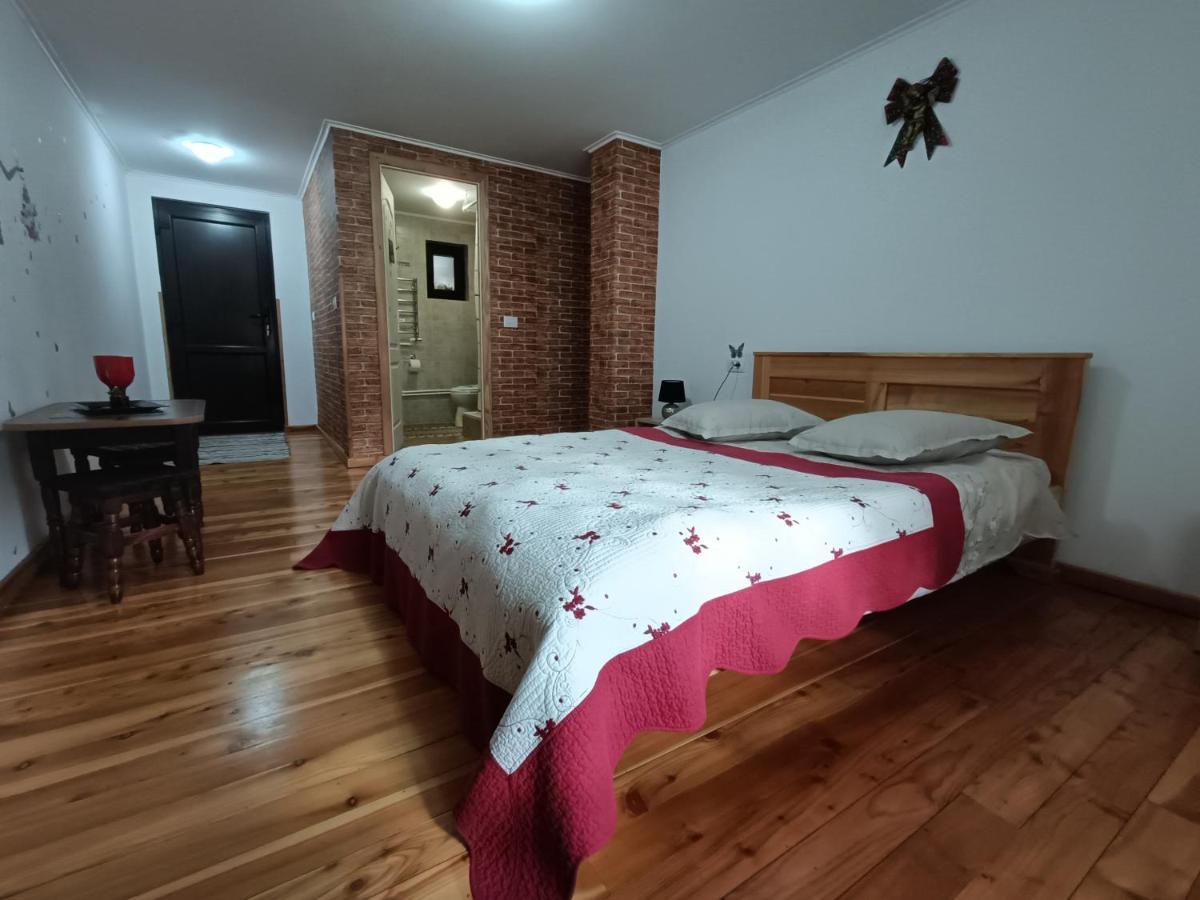 Casa Dintre Pini Villa Paltinoasa Ngoại thất bức ảnh