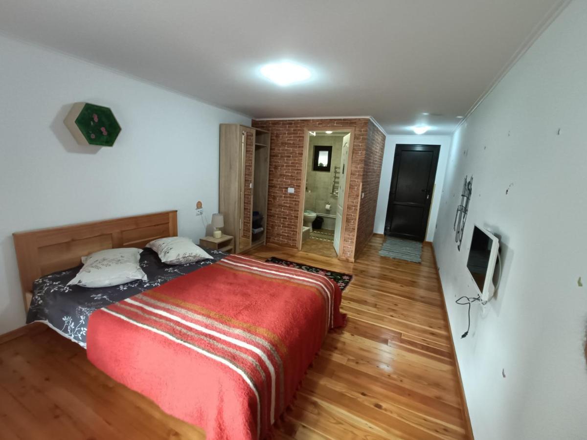 Casa Dintre Pini Villa Paltinoasa Ngoại thất bức ảnh