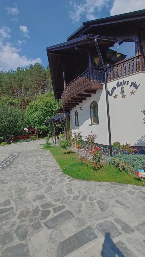 Casa Dintre Pini Villa Paltinoasa Ngoại thất bức ảnh