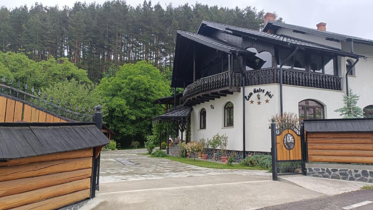 Casa Dintre Pini Villa Paltinoasa Ngoại thất bức ảnh