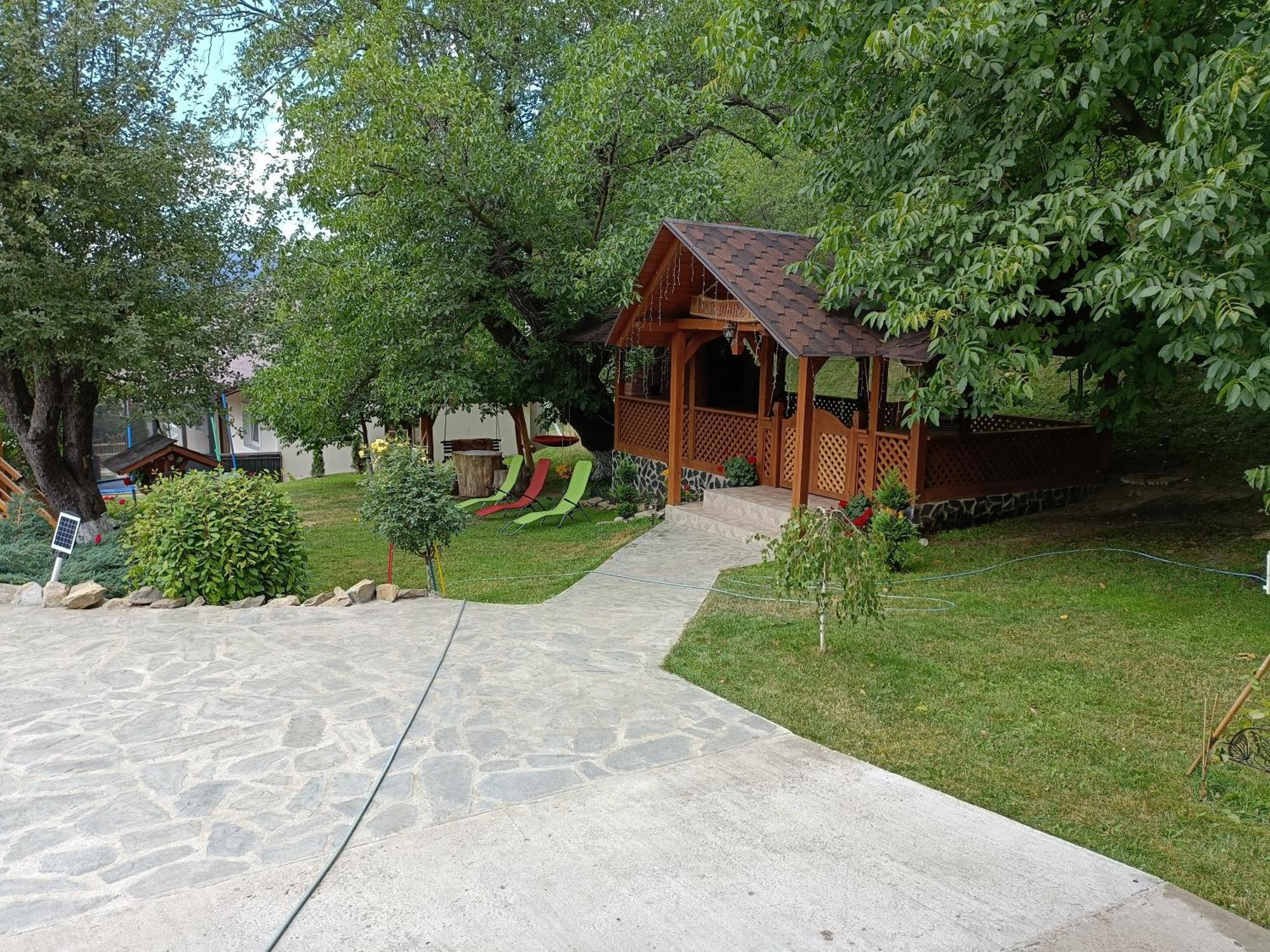Casa Dintre Pini Villa Paltinoasa Ngoại thất bức ảnh